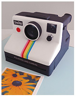 polaroid camera novelty cake